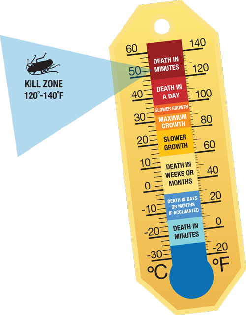 Bed Bug Heat Thermometer